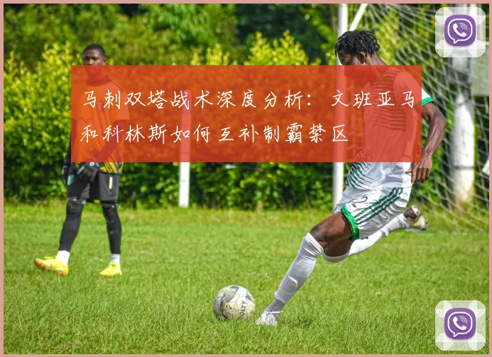 马刺双塔战术深度分析：文班亚马和科林斯如何互补制霸禁区